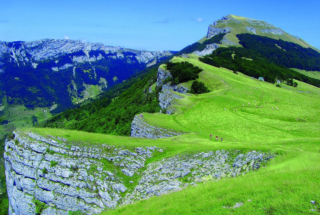 Roulottes Au Pied Du Vercors Сан-Жан-ан-Ройан Екстериор снимка